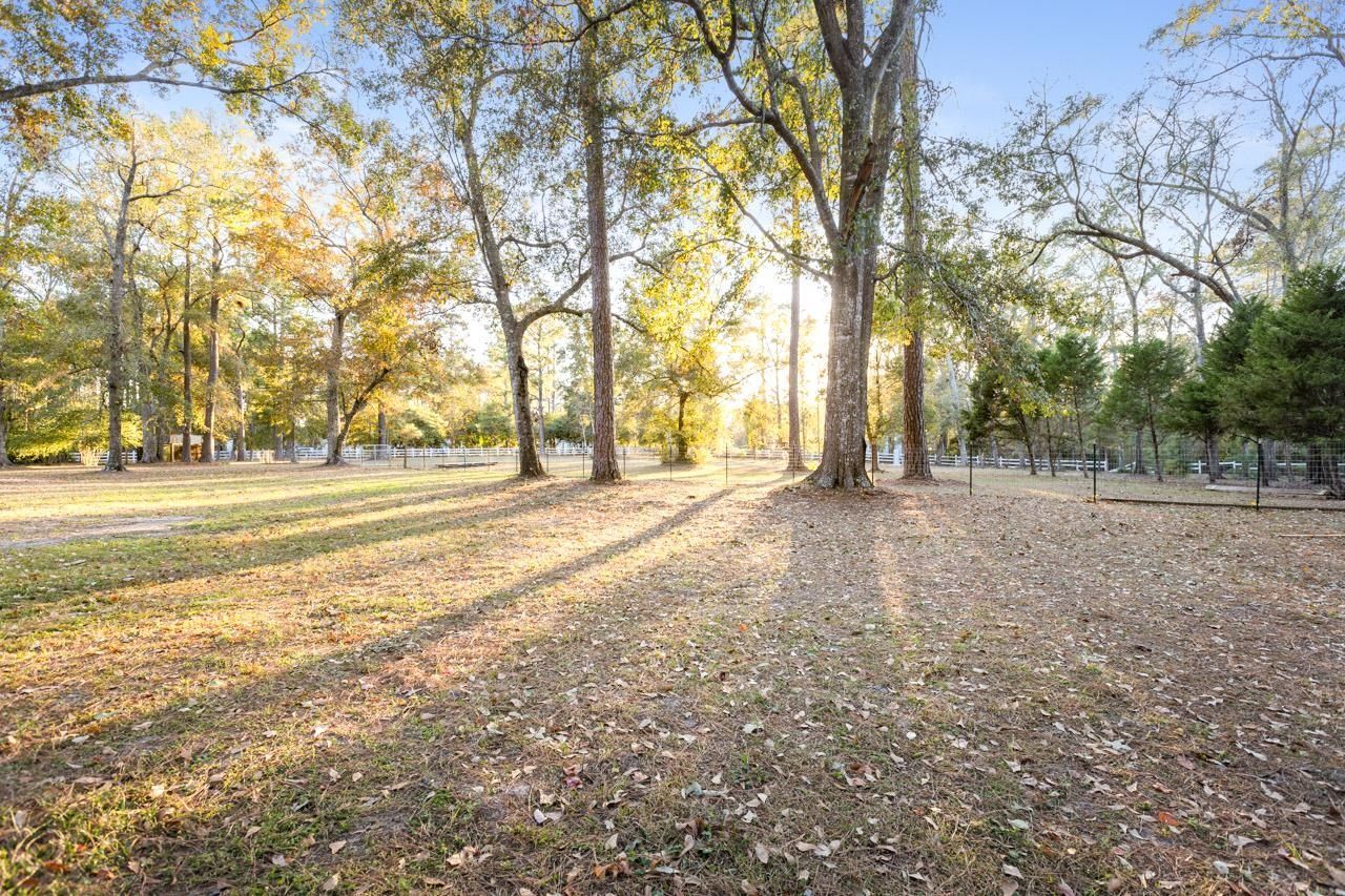 79 Lakeside Road, Monticello, FL 32344 Photo