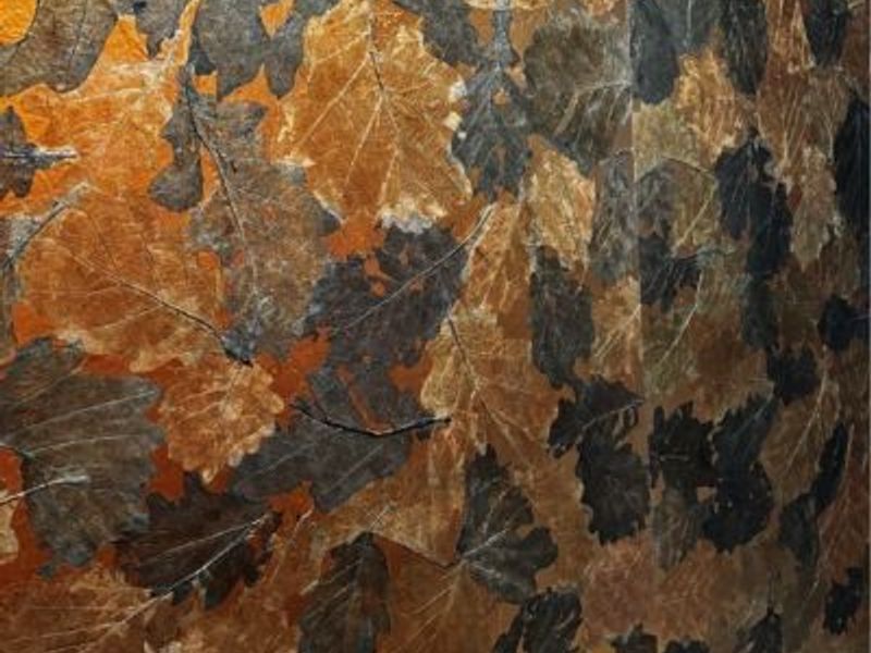 8849 Concord Drive, Westfield Center, OH 44251 Photo 23