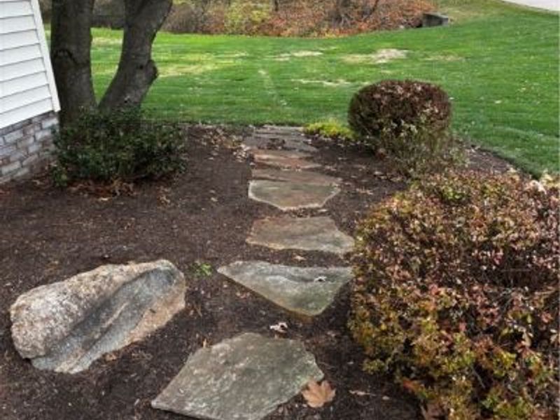 8849 Concord Drive, Westfield Center, OH 44251 Photo 4