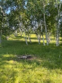 15370 Mallard, Brook Park, MN 55007 Main Photo