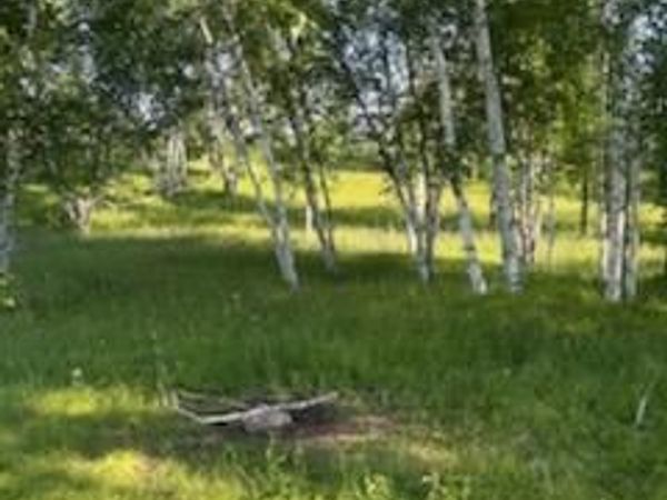 15370 Mallard, Brook Park, MN 55007