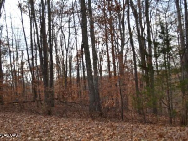 6.70ac Wet Mill Creek Rd, Celina, TN 38551