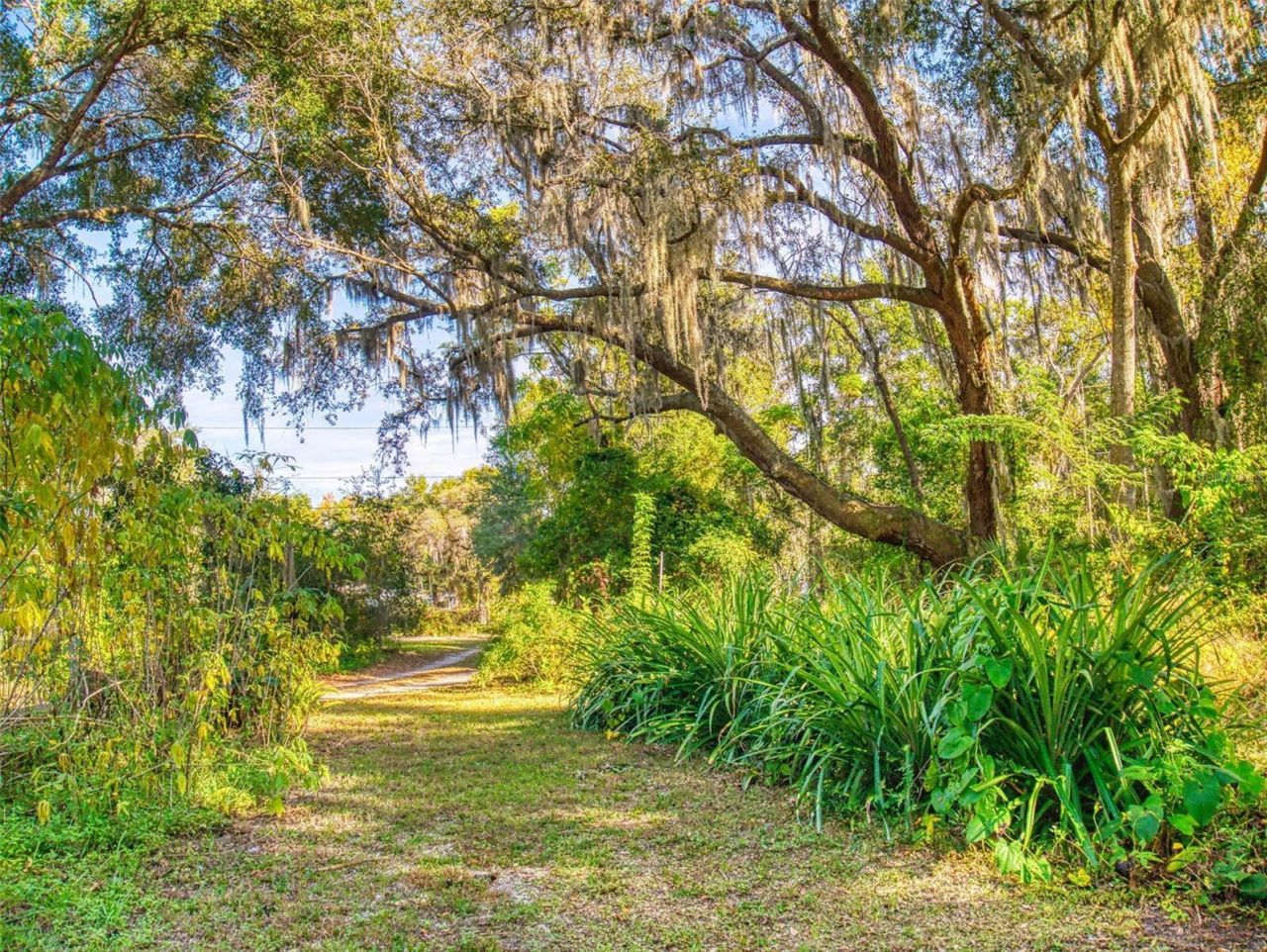 3851 Thistlewood Way, Okahumpka, FL 34762 Photo