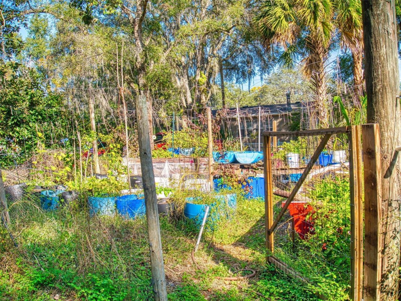 3851 Thistlewood Way, Okahumpka, FL 34762 Photo