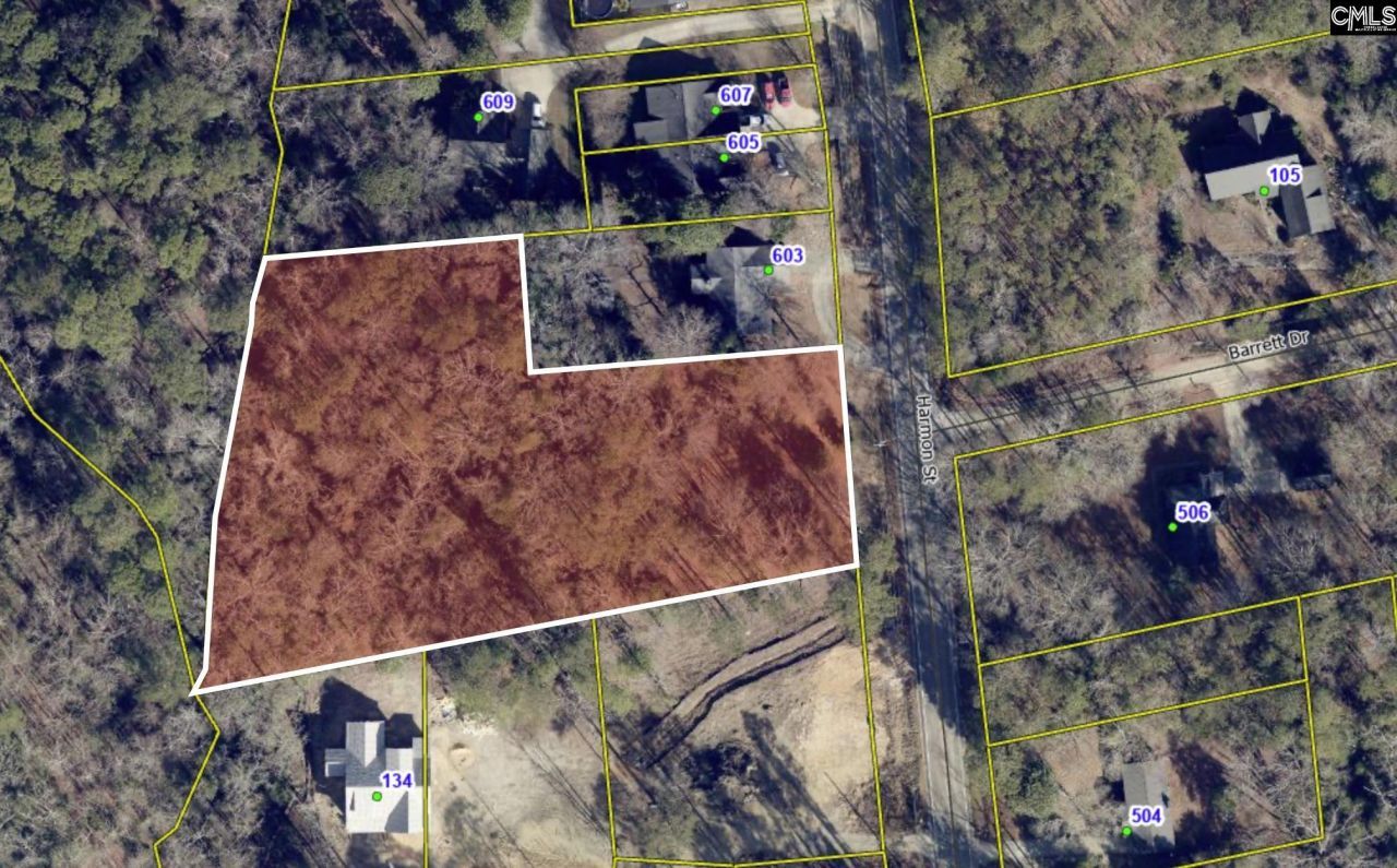 0 Harmon Street Photo 4