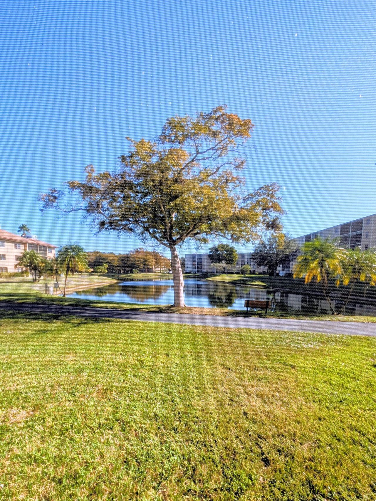 7960 NW 50th Street, Unit 104, Lauderhill, FL 33351 Photo