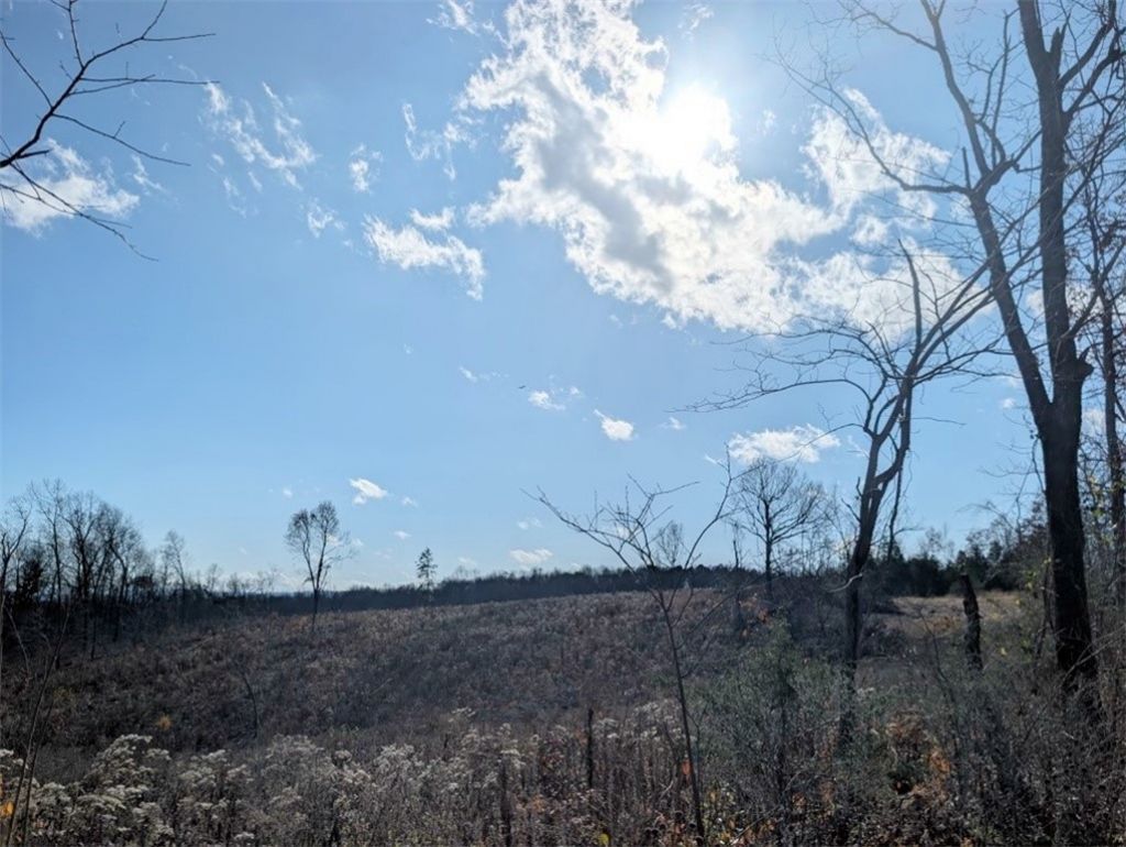 Nc 2900, Marble Falls, AR 72648 Main Photo