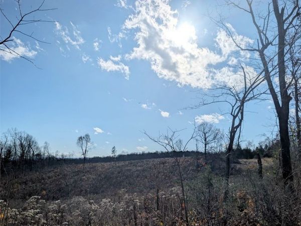 NC 2900, Marble Falls, AR 72648