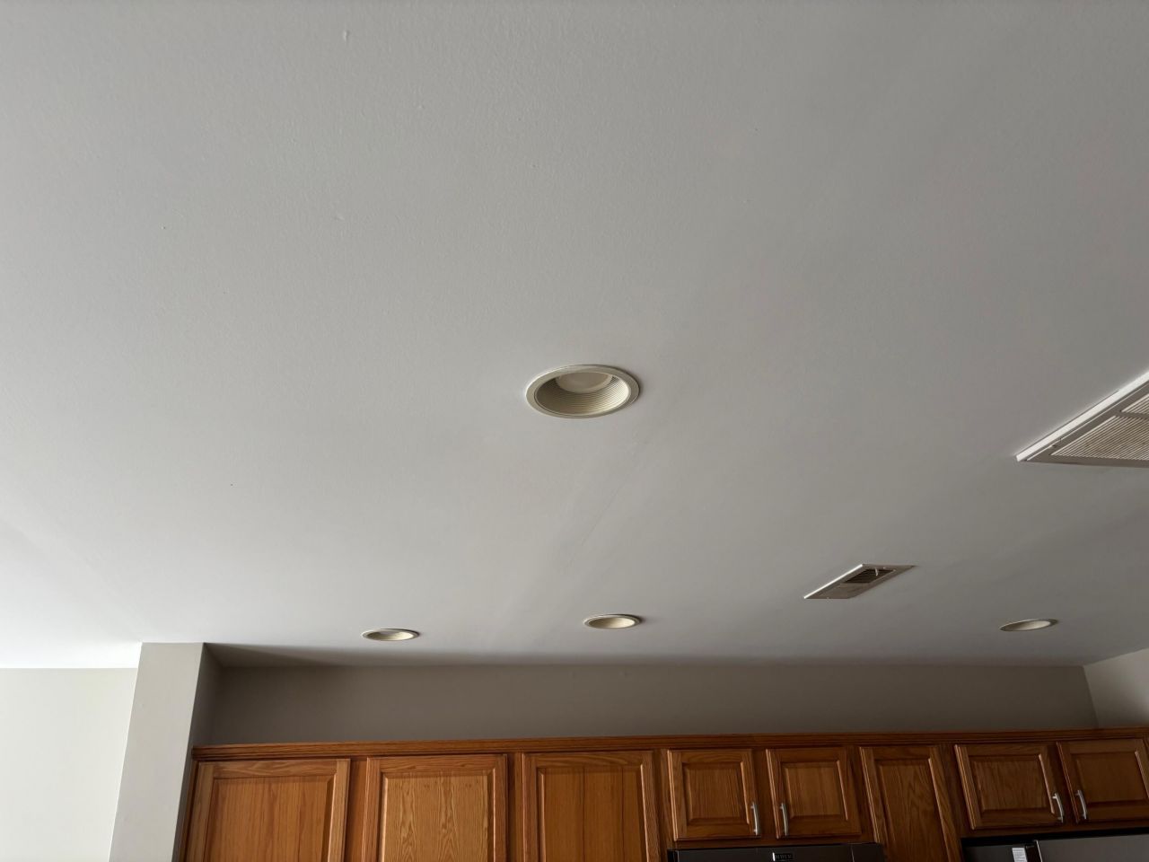 5220 Fernland Way Photo 11