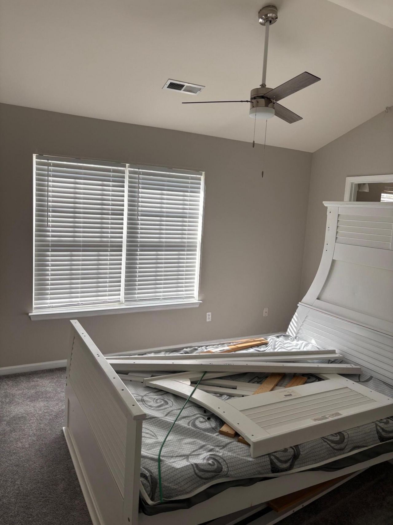 5220 Fernland Way Photo 13