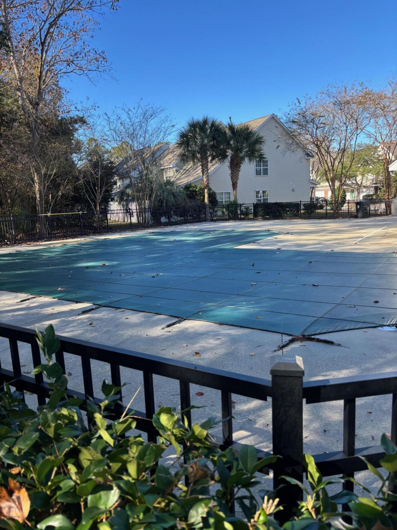 5220 Fernland Way Photo 19