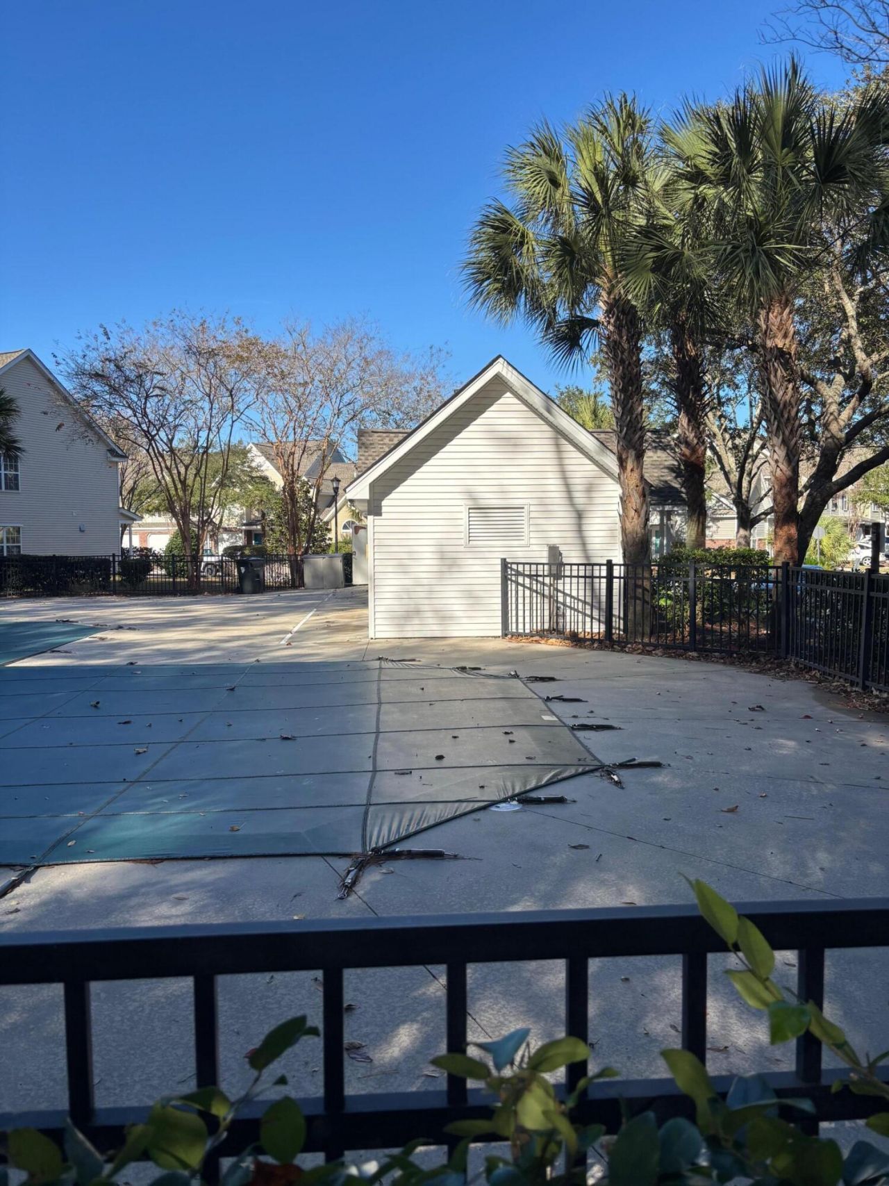 5220 Fernland Way Photo 20