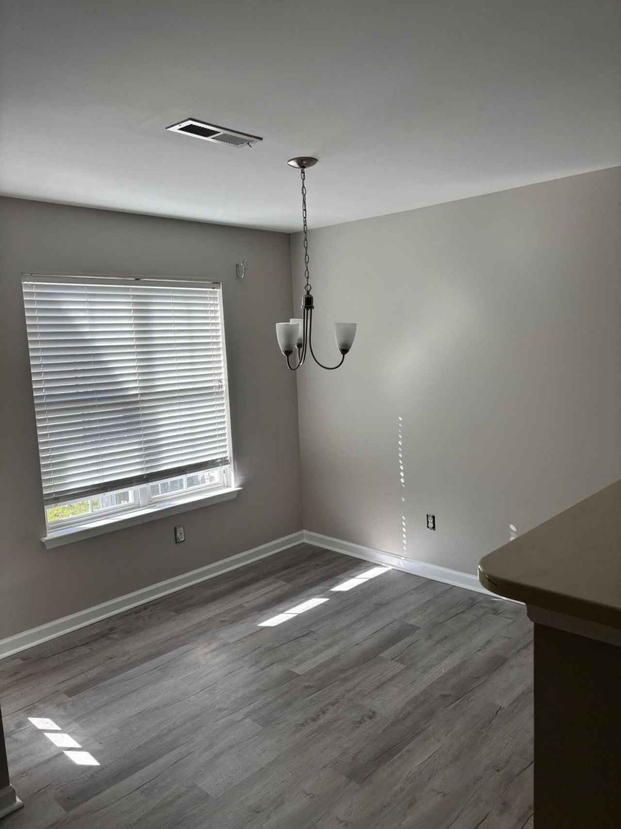 5220 Fernland Way Photo 9