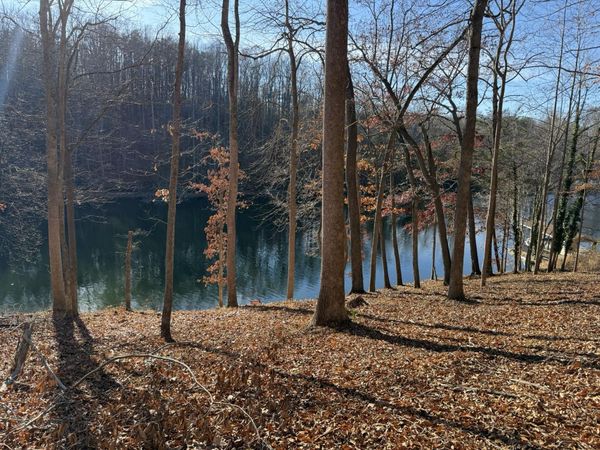 Lot 3 Aspen WAY , Moneta, VA 24121