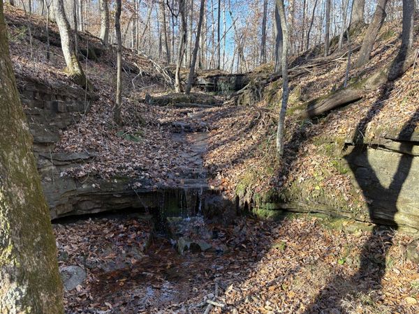 0 Pigpen Hollow Rd, Waynesboro, TN 38485