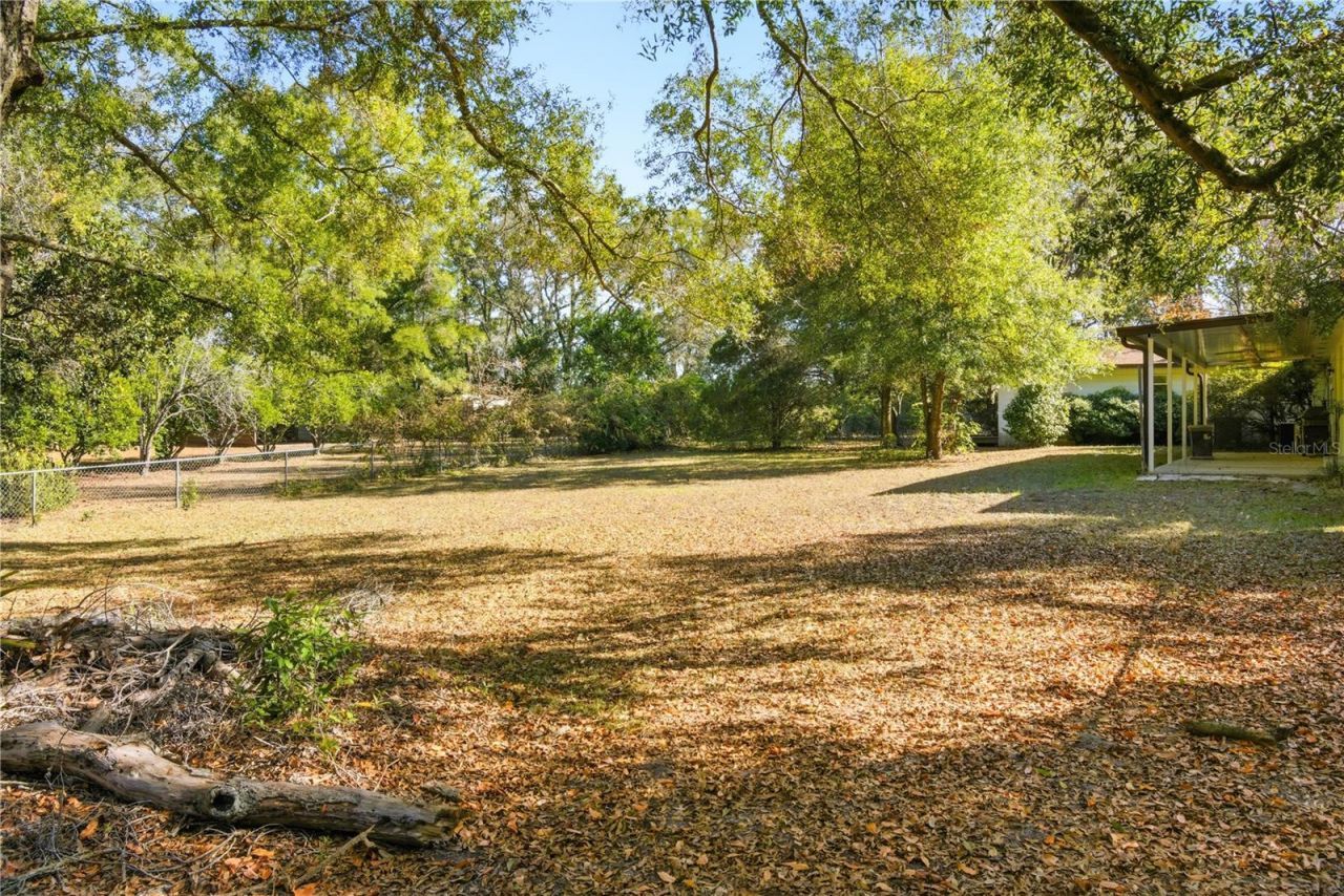 3780 NW County Road 340, Bell, FL 32619 Photo