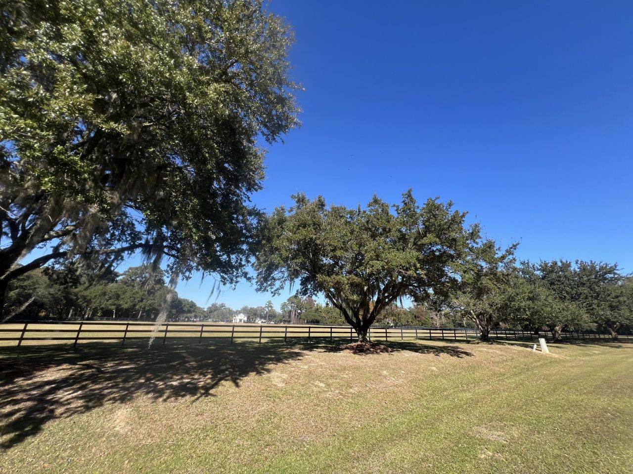 Lot 35 Josie Ridge Photo 11