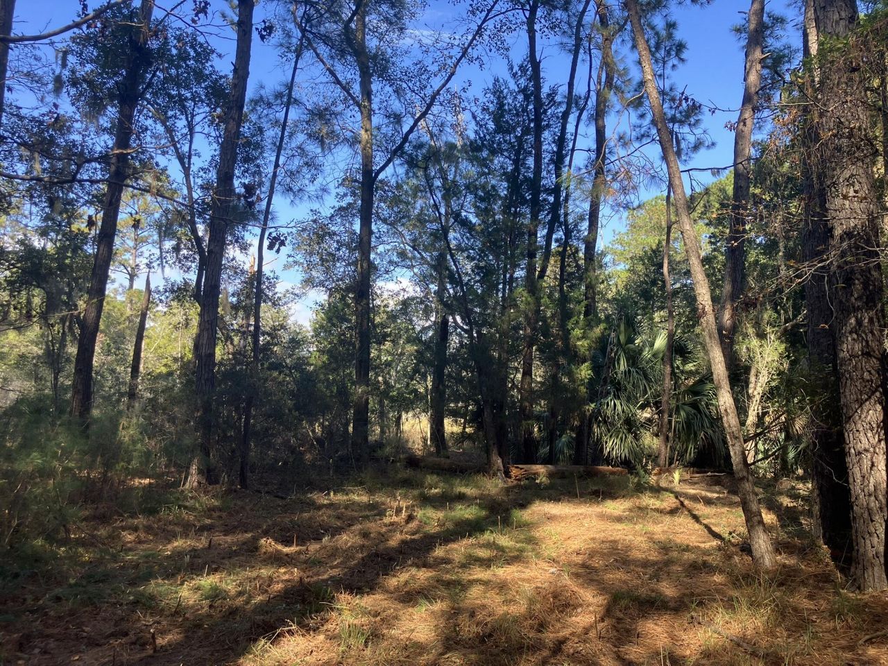 Lot 35 Josie Ridge Photo 14