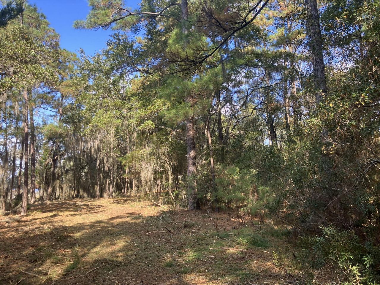 Lot 35 Josie Ridge Photo 15