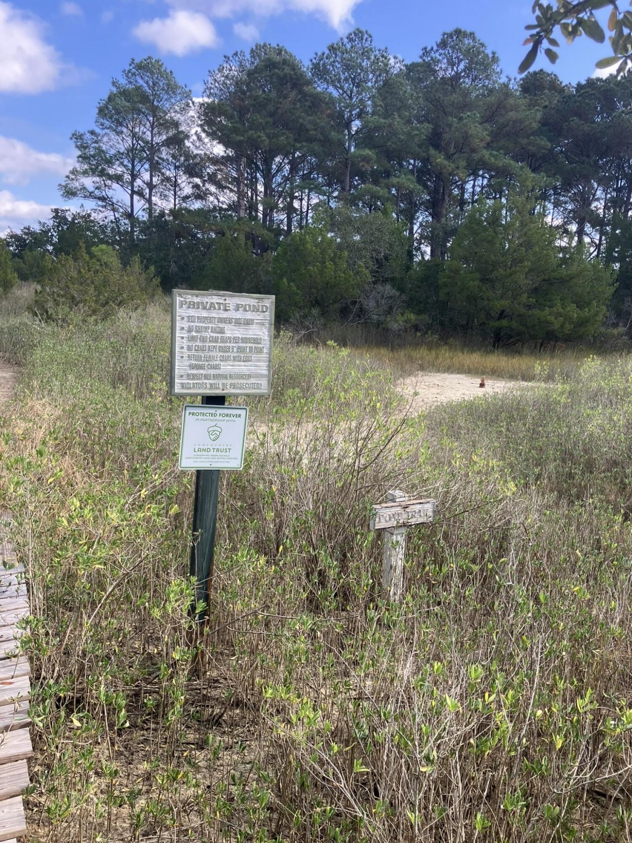 Lot 35 Josie Ridge Photo 18