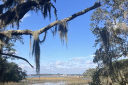 Lot 35 Josie Ridge photo 4