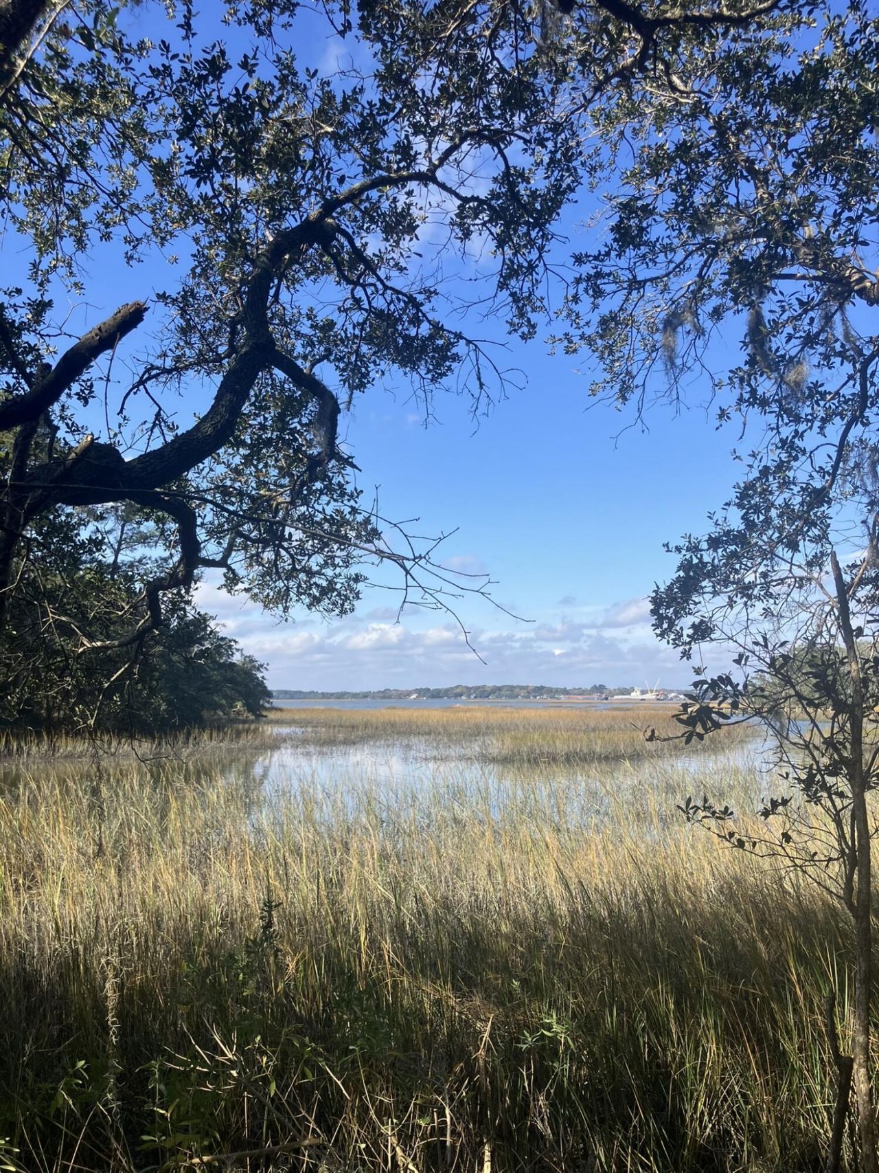 Lot 35 Josie Ridge Photo 4