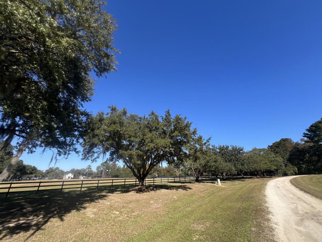 Lot 35 Josie Ridge Photo 5