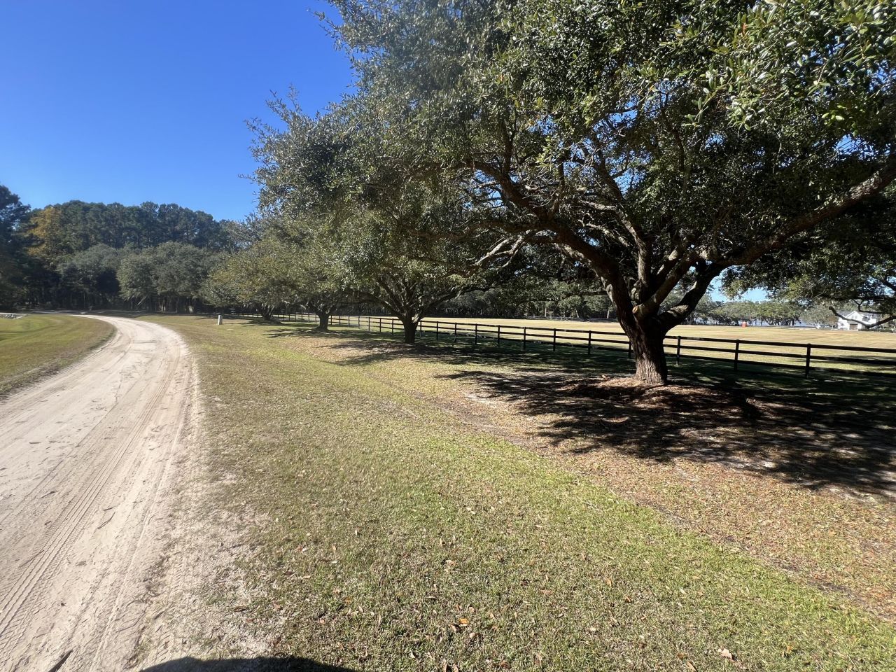 Lot 35 Josie Ridge Photo 7