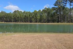 1558 Breakwater Dr. photo 4