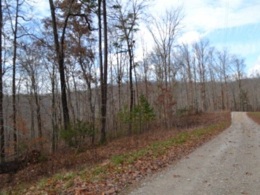 Property Image 11