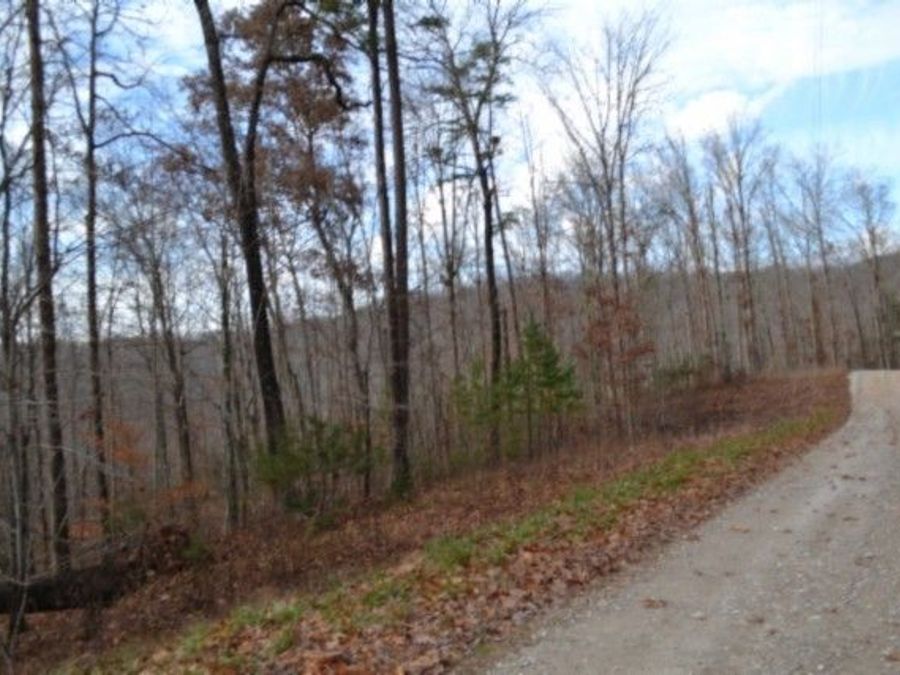 Property Image 12