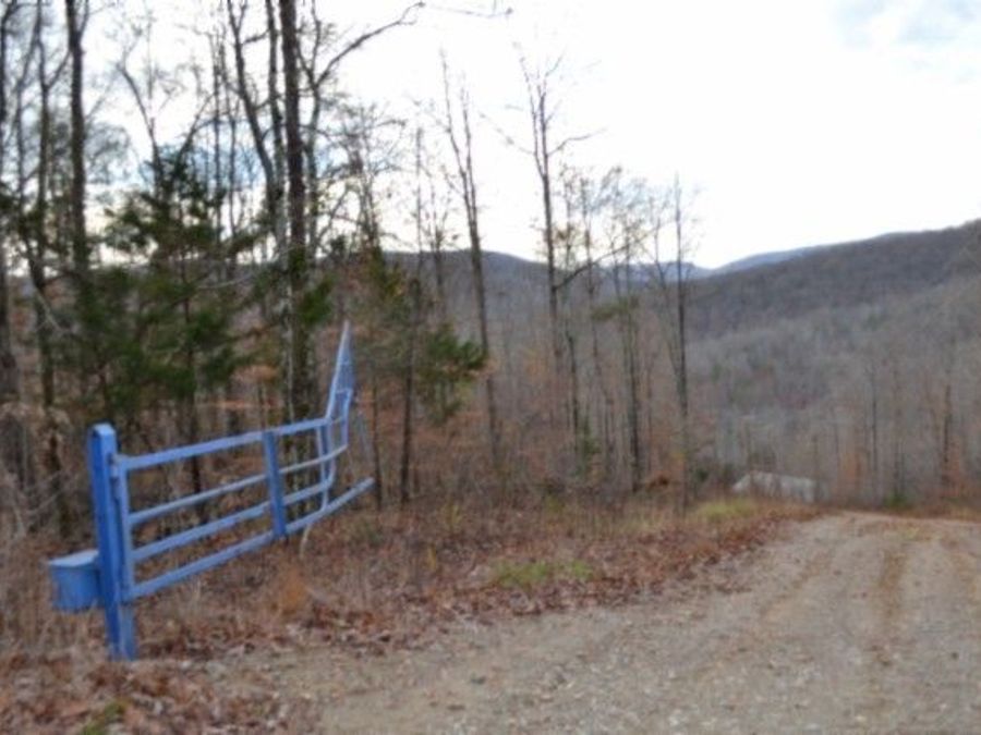 Property Image 13