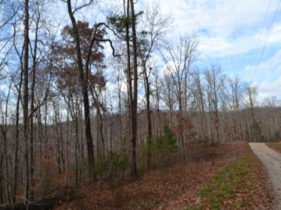 Property Image 8