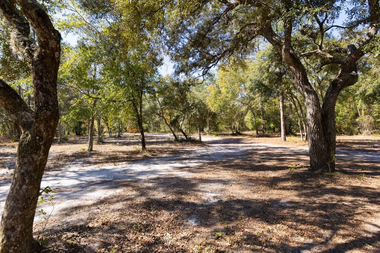 3850 Preston Sheffield Road, Perry, FL 32347 Photo