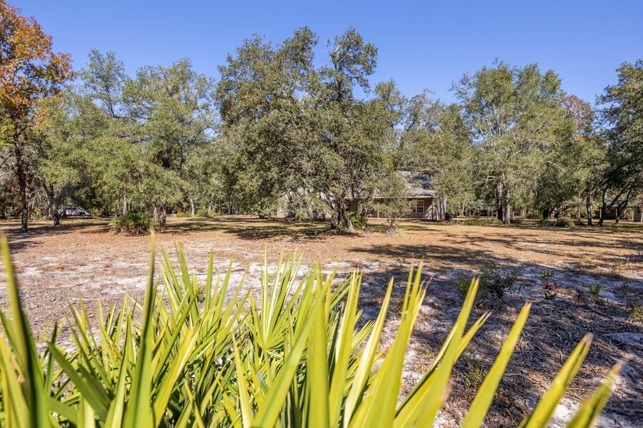 3850 Preston Sheffield Road, Perry, FL 32347 Photo