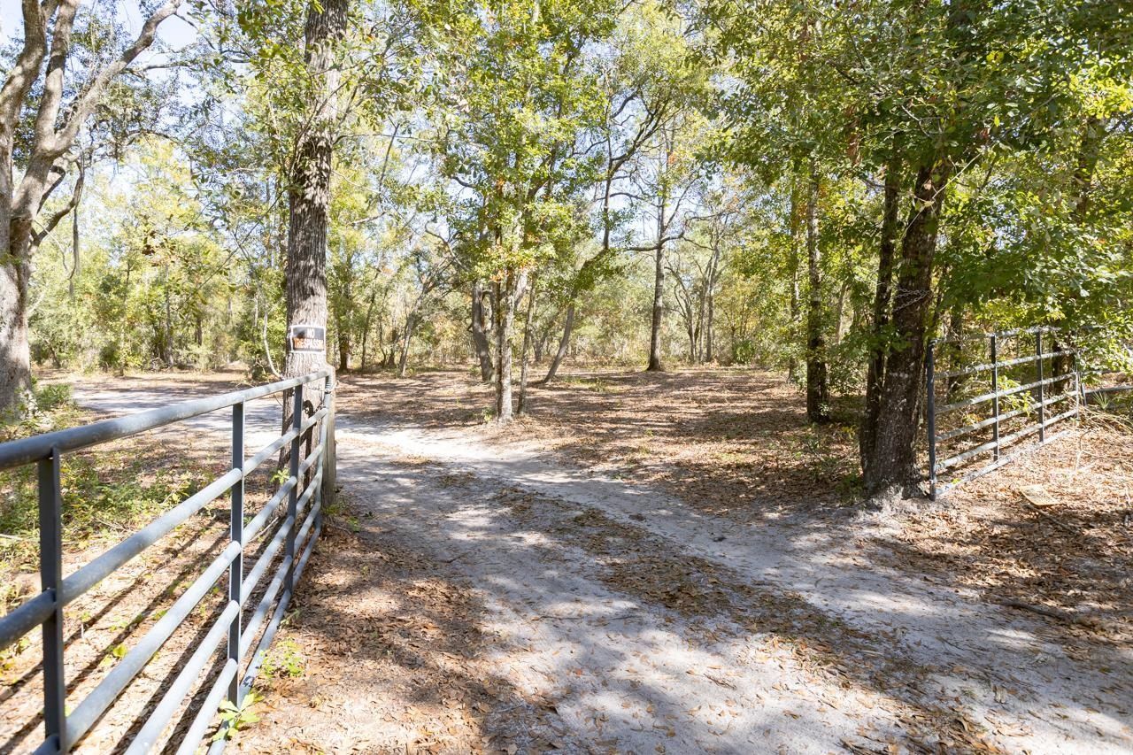 3850 Preston Sheffield Road, Perry, FL 32347 Photo