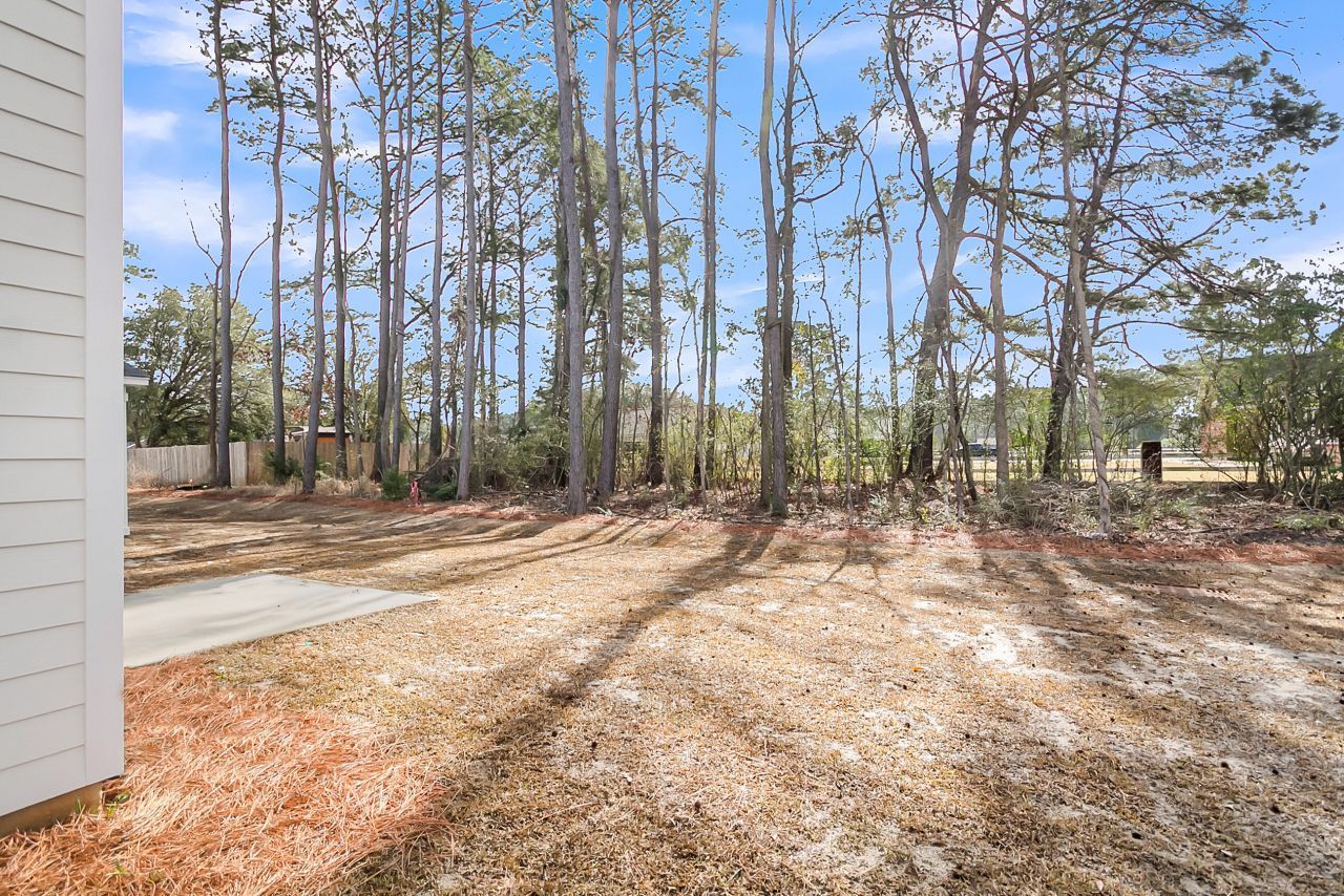 209 Central Creek Drive Photo 34