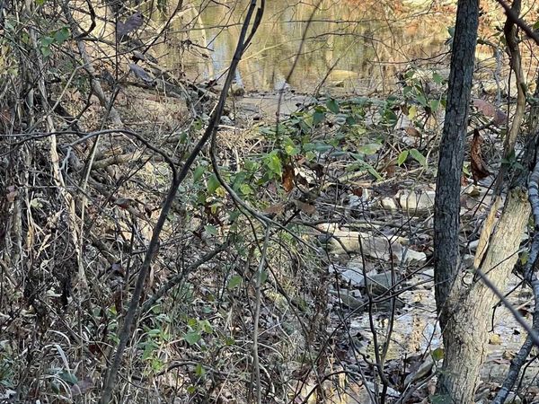 001-08378-001 W Hwy 62, Pyatt, AR 72672