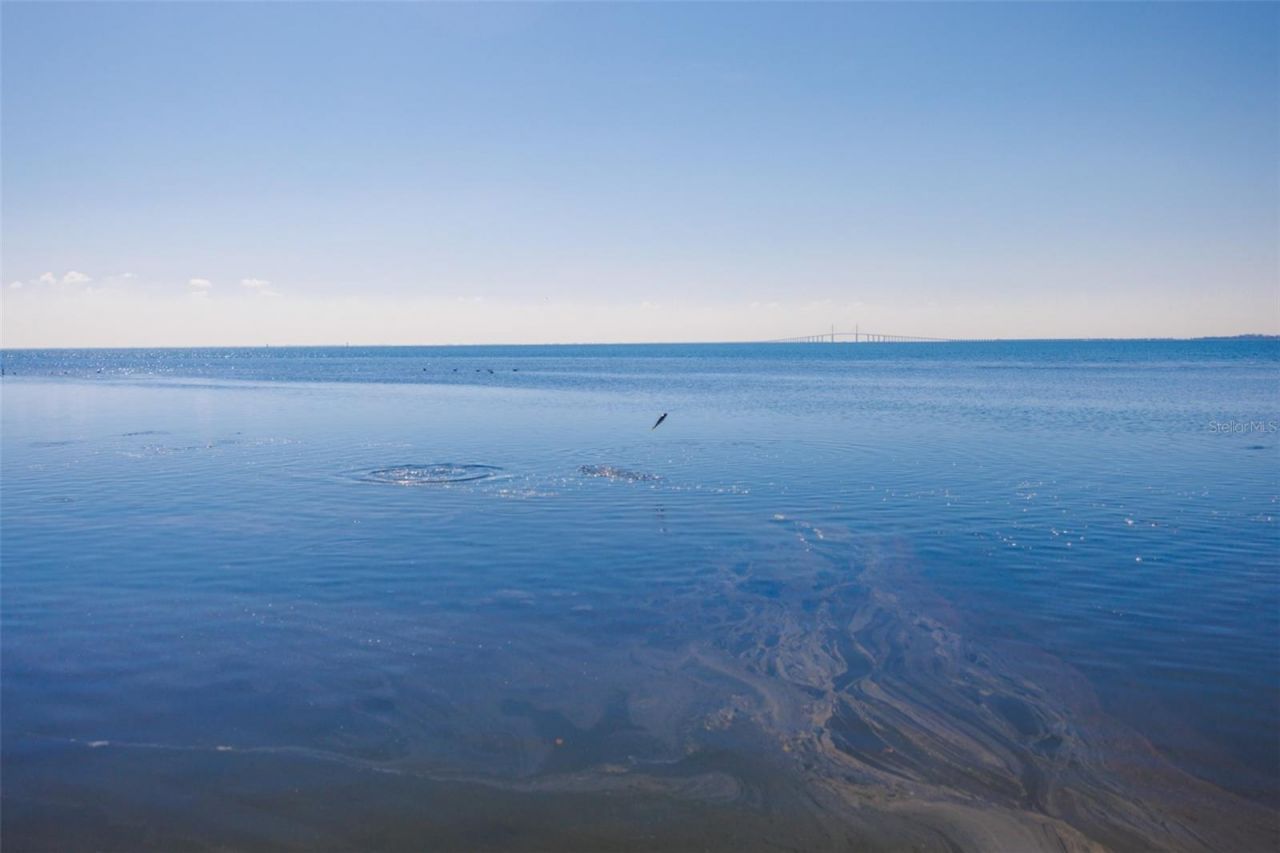 2158 Blossom Way S, Saint Petersburg, FL 33712 Photo