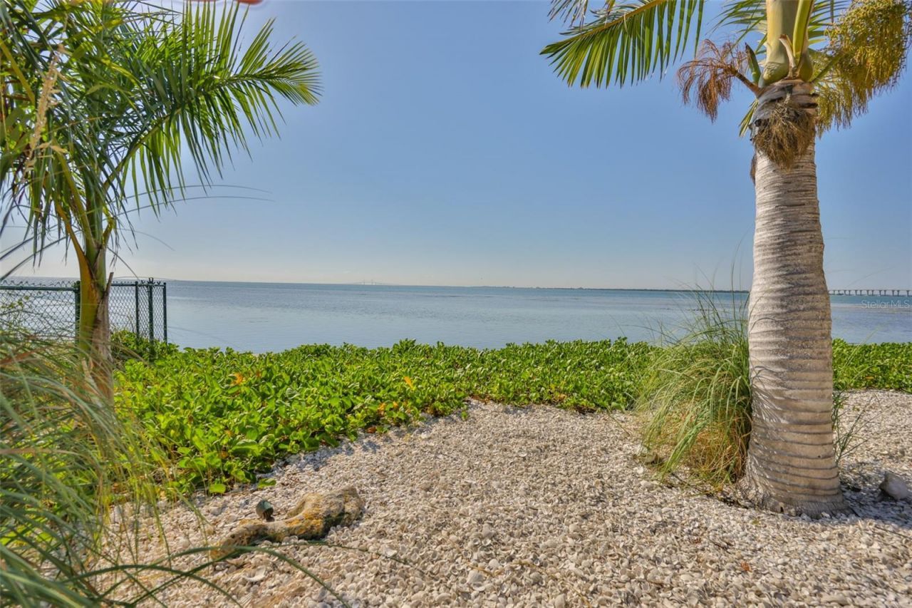 2158 Blossom Way S, Saint Petersburg, FL 33712 Photo