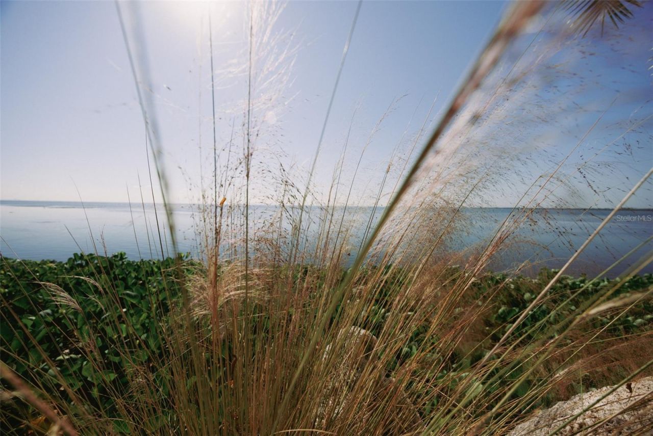 2158 Blossom Way S, Saint Petersburg, FL 33712 Photo