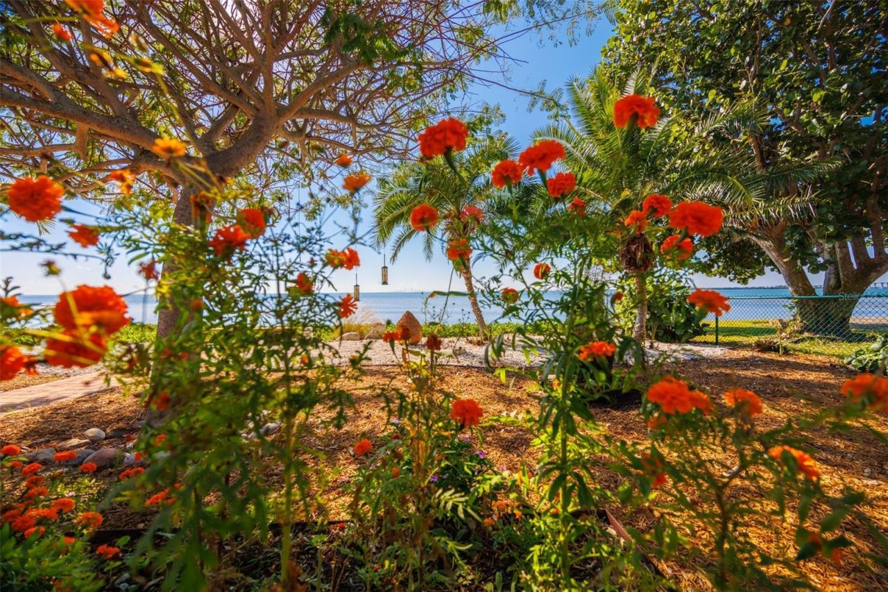 2158 Blossom Way S, Saint Petersburg, FL 33712 Photo