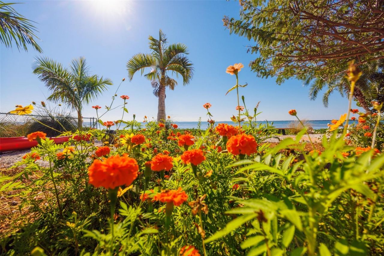 2158 Blossom Way S, Saint Petersburg, FL 33712 Photo