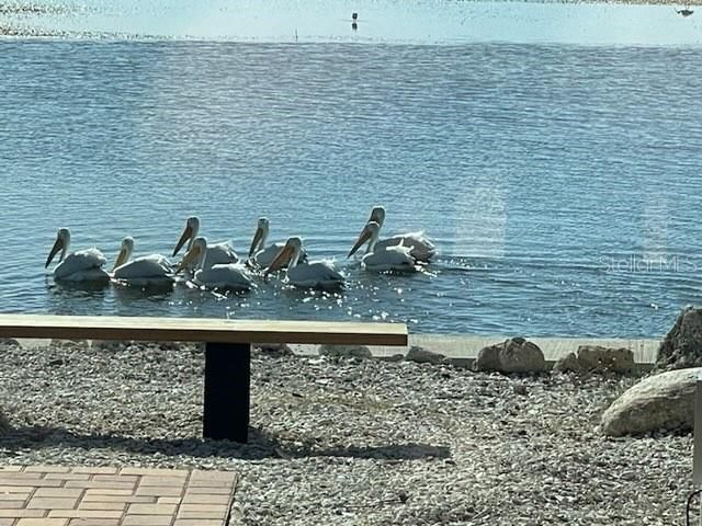 2158 Blossom Way S, Saint Petersburg, FL 33712 Photo