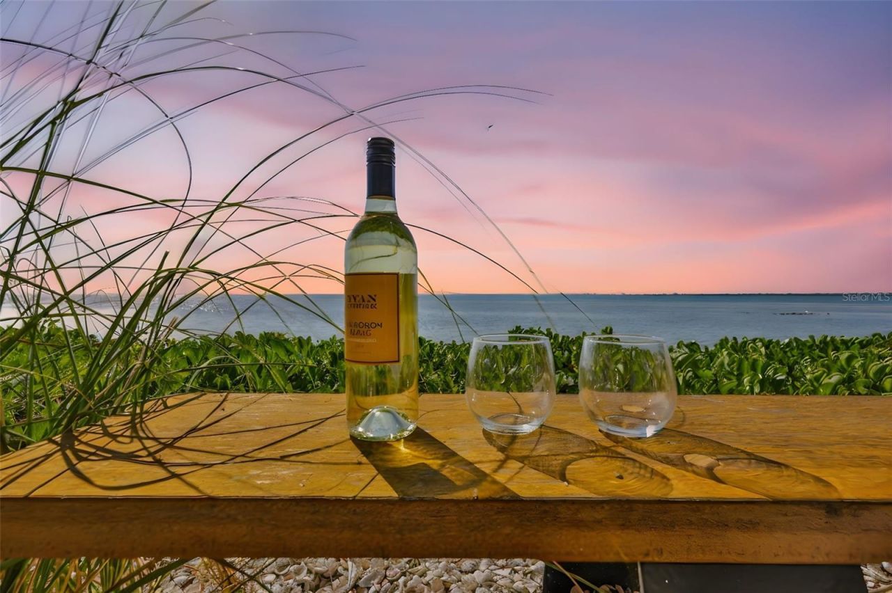 2158 Blossom Way S, Saint Petersburg, FL 33712 Photo