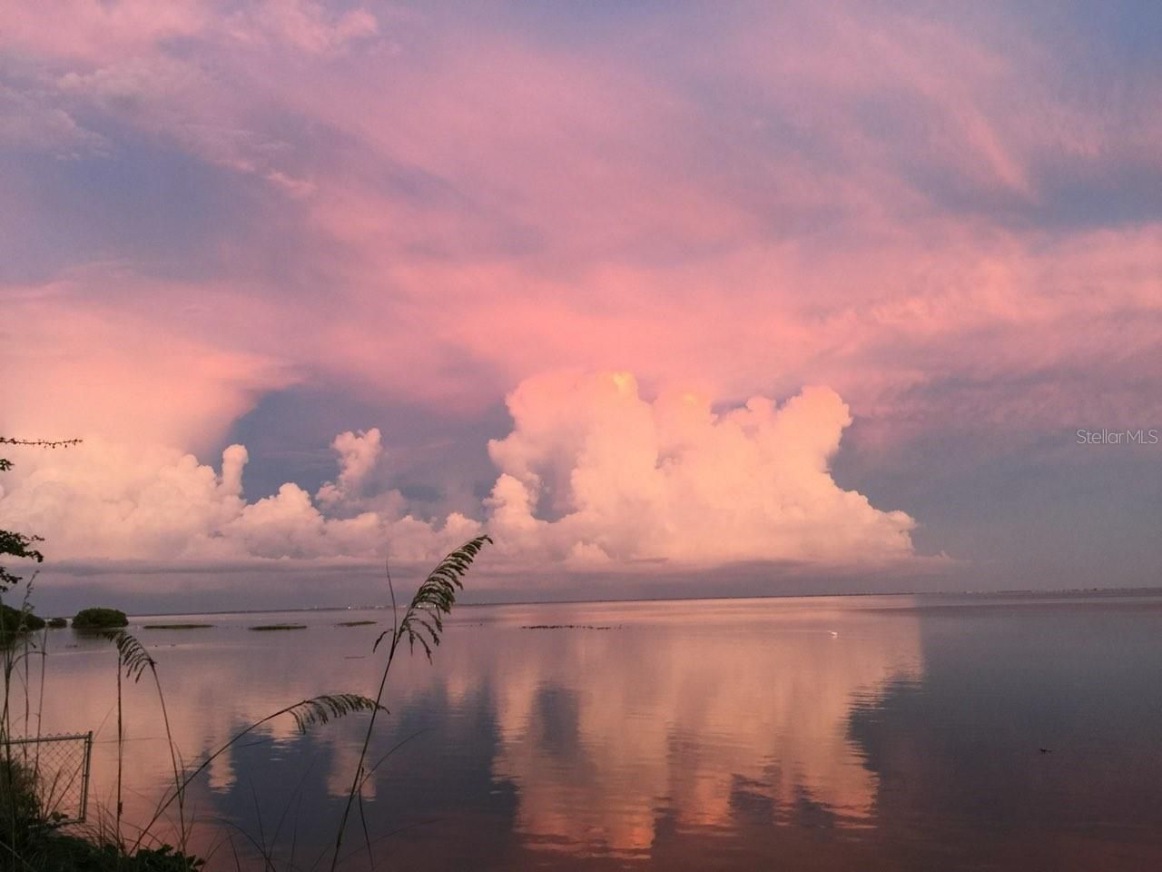 2158 Blossom Way S, Saint Petersburg, FL 33712 Photo