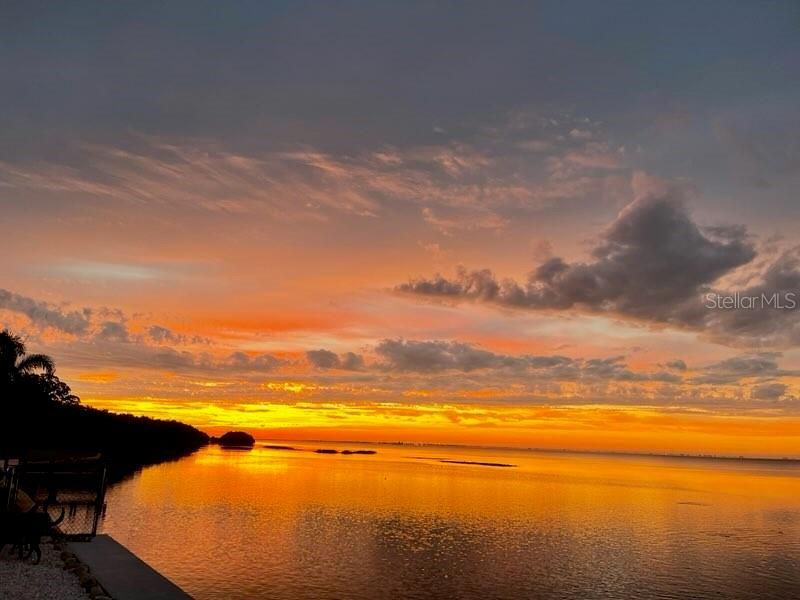 2158 Blossom Way S, Saint Petersburg, FL 33712 Photo