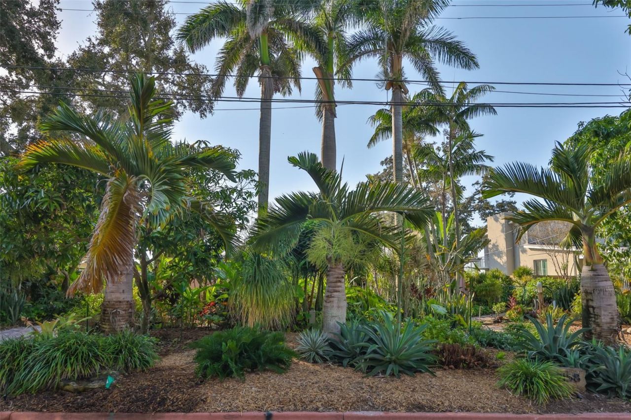 2158 Blossom Way S, Saint Petersburg, FL 33712 Photo