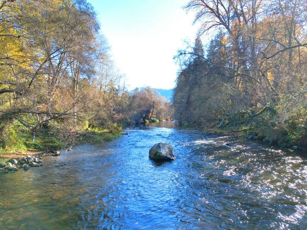 13731 Highway 238, Applegate, OR 97530