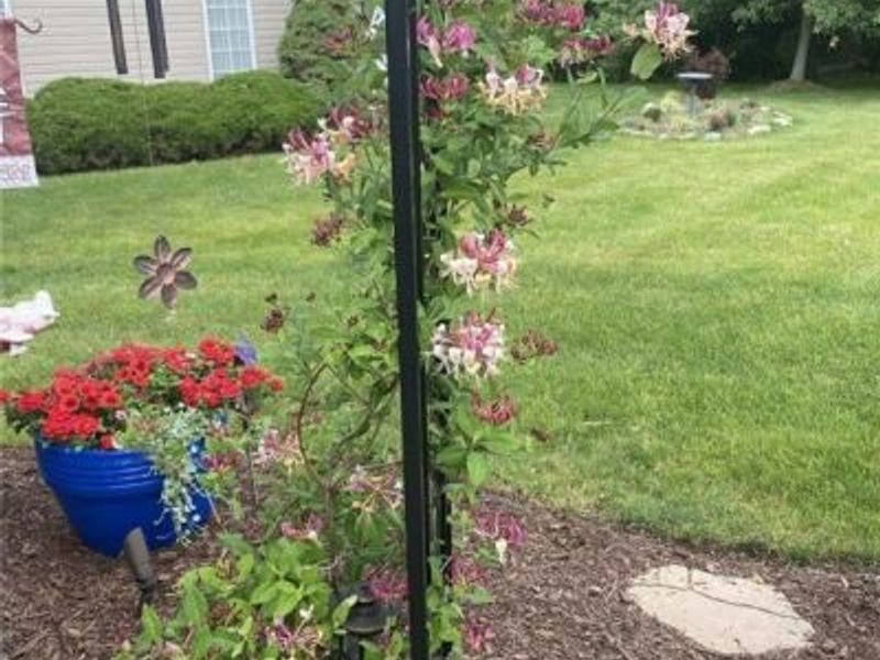 17209 Sun Meadow Trail, Strongsville, OH 44149 Photo 16